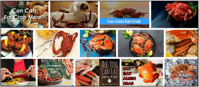 Les chats peuvent-ils manger du crabe ? Apprenez à nourrir votre animal avec précision