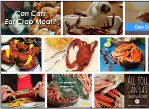 Můžou kočky jíst kraby? Naučte se, jak přesně krmit svého mazlíčka