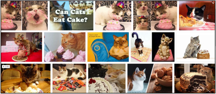 Kunnen katten cake eten? De beste aanpak voor een gezonde voeding