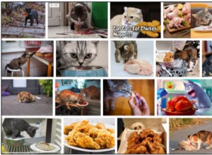 Můžou kočky jíst smažené kuře? Je to pro ně bezpečné nebo ne