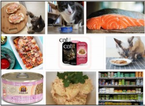 Могут ли кошки есть консервированный лосось? Узнайте, как правильно кормить своего питомца