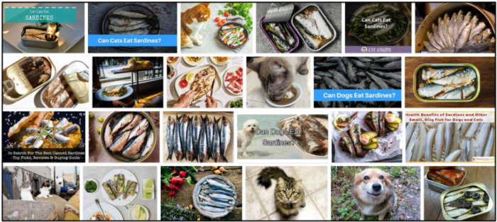 I gatti possono mangiare le sardine in scatola? Scopri subito la verità