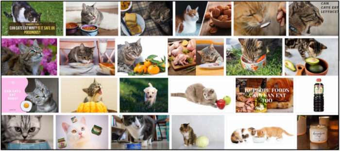 Kan katter äta soja? Här är allt du behöver veta om det