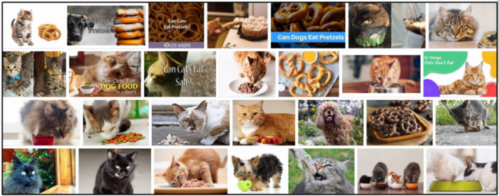 Kan katter äta kringlor? En bra källa att läsa innan du matar