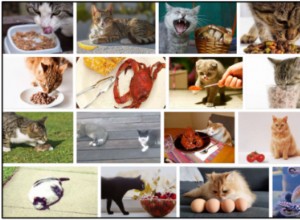 Můžou kočky jíst mušle? Nejlepší způsob, jak nakrmit svého přítele
