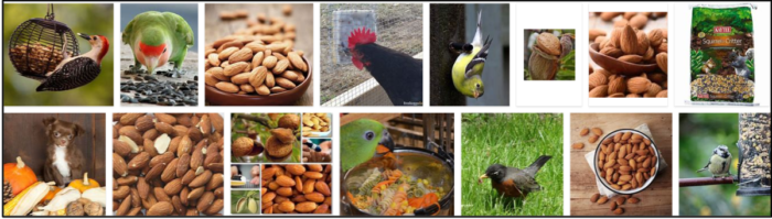 Kunnen vogels amandelen eten? Ontdek de waarheid over amandelen