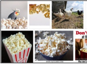 Kunnen vogels popcorn eten? Mogen wilde vogels popcorn eten?