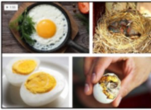 Kunnen vogels eieren of roerei eten? Ontdek de waarheid
