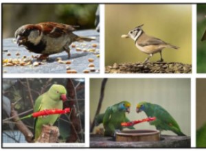 Kan fåglar äta kryddig mat? Sanningen om kryddig mat