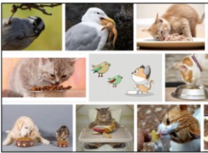 Gli uccelli possono mangiare cibo per gatti? Il cibo per gatti è sicuro per gli uccelli?