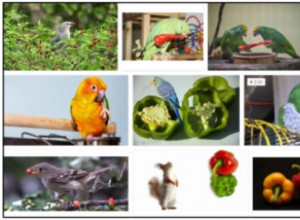 Můžou ptáci jíst papriky? Zjistěte vše o ptácích a pepři