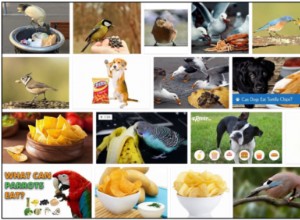 鳥はチップを食べることができますか？チップは鳥にとって本当に健康ですか？