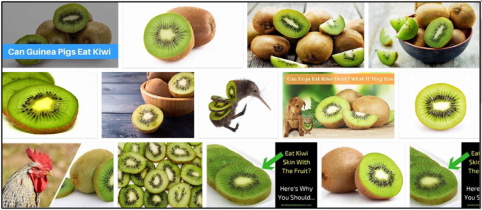 Kan fåglar äta kiwi? Läs om förhållandet mellan fåglar och frukt