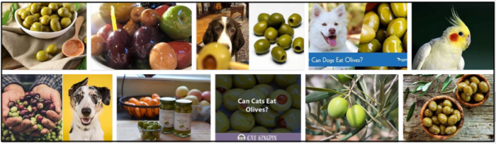 Gli uccelli possono mangiare le olive? Possono essere ancora sani?