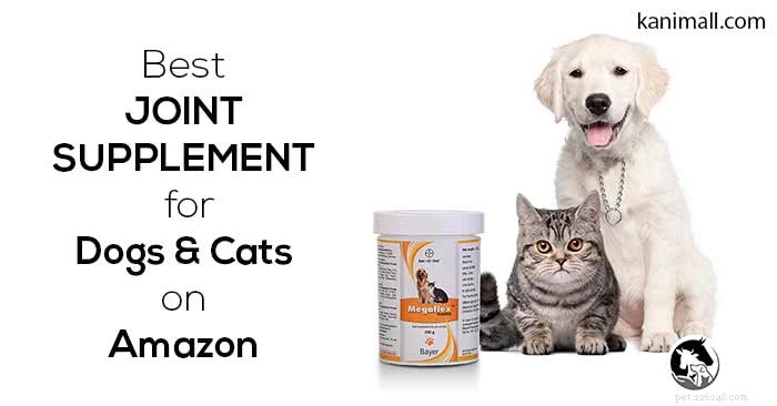 Meilleur supplément pour les articulations pour chiens et chats sur Amazon
