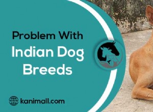 Problemi con le razze canine indiane. Panoramica dettagliata