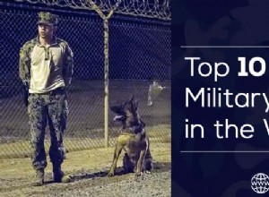 Os 10 melhores cães militares do mundo, cães de guerra, cães policiais