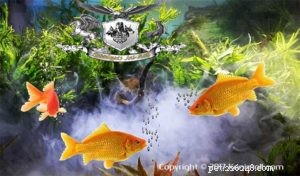 Peixes dourados e suas raças Parte 1
