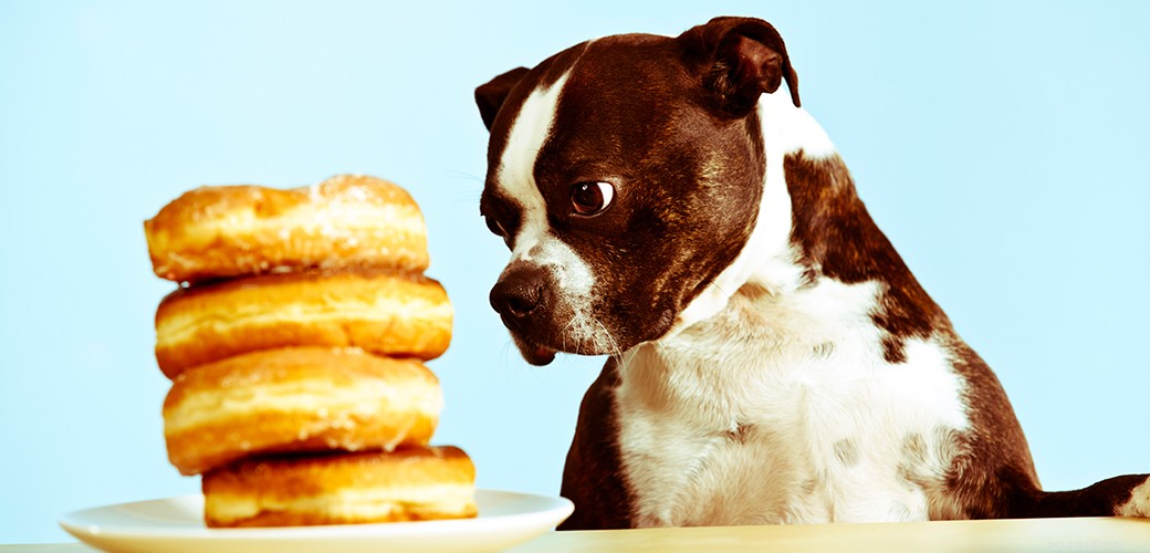 10 giftige voedingsmiddelen voor huisdieren