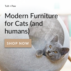 8 уникальных подарков на Etsy для любителей кошек сфинксов
