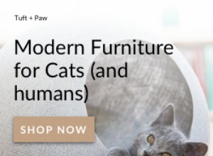 8 unika presenter på Etsy för Sphynx Cat Lovers