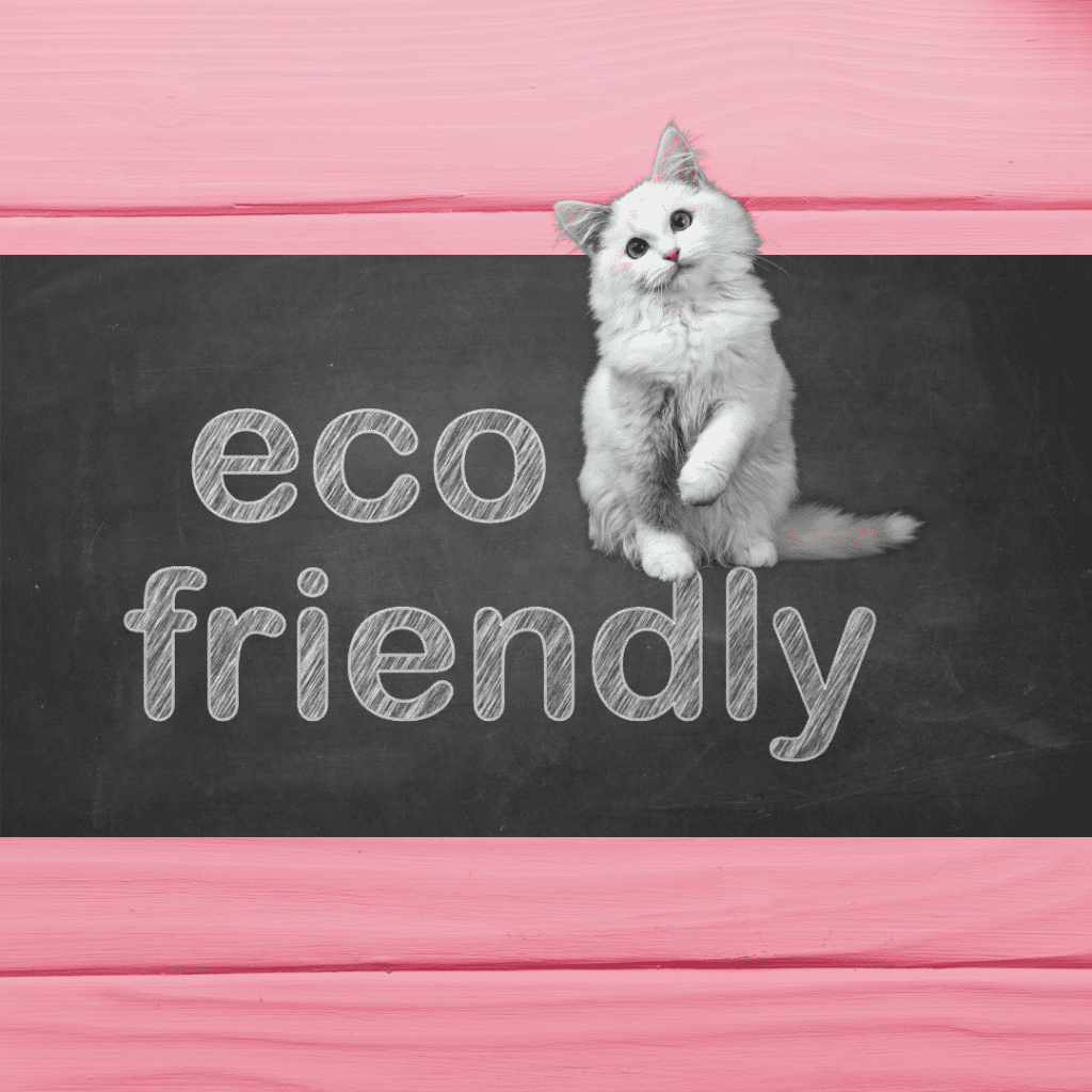 Omfamna en miljövänlig livsstil med ditt husdjur
