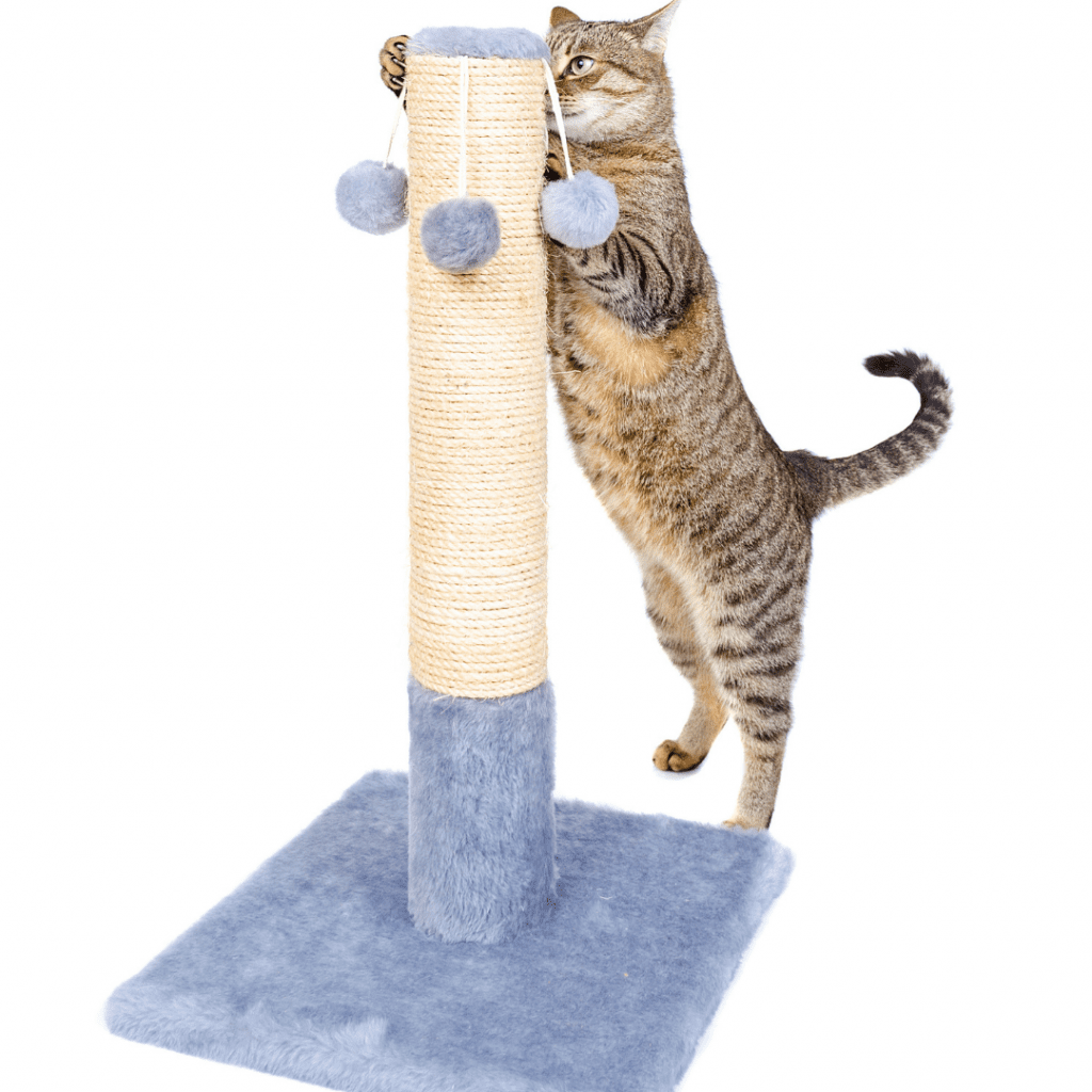 고양이를 위한 이상적인 긁는 기둥:고양이 승인