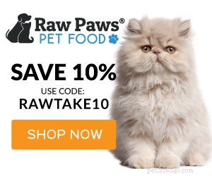 Recenze produktu moderního kočičího nábytku:The Grove Cat Perch By Tuft And Paw
