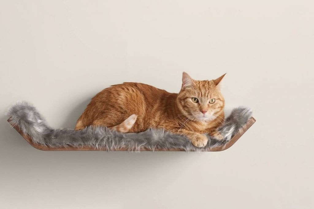10 ontwerpideeën voor kattenbezitters op kleine plaatsen