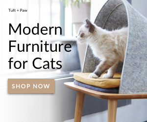 10 ontwerpideeën voor kattenbezitters op kleine plaatsen