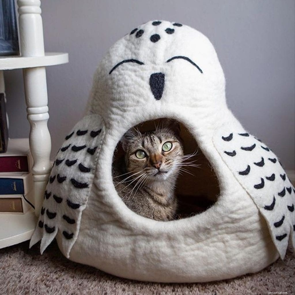 Cat Cave Giveaway：Snow Owl