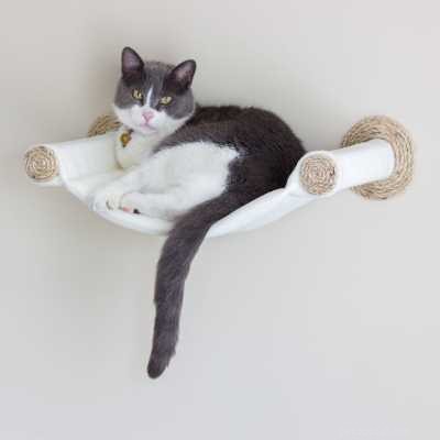 7 tipos de redes para gatos sonhadores para seu gatinho cair