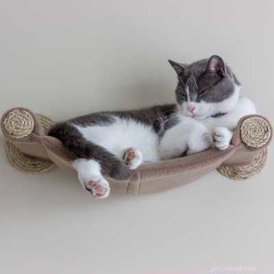 7 tipos de redes para gatos sonhadores para seu gatinho cair