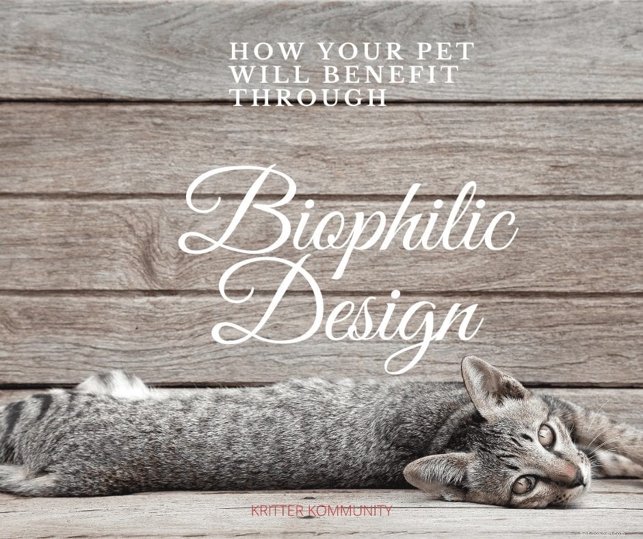 Como o design de biofilia pode melhorar o bem-estar do seu animal de estimação
