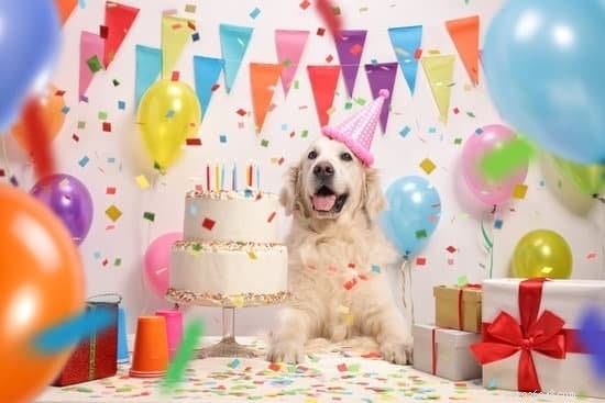 Tipy pro plánování oslavy psích narozenin letos na podzim [Aktualizace 2021]