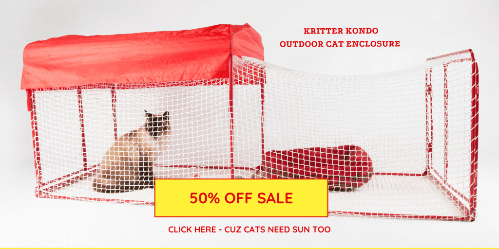 Vytvoření okna Catio pro kočku za méně než 100 $ [Aktualizace z roku 2021]