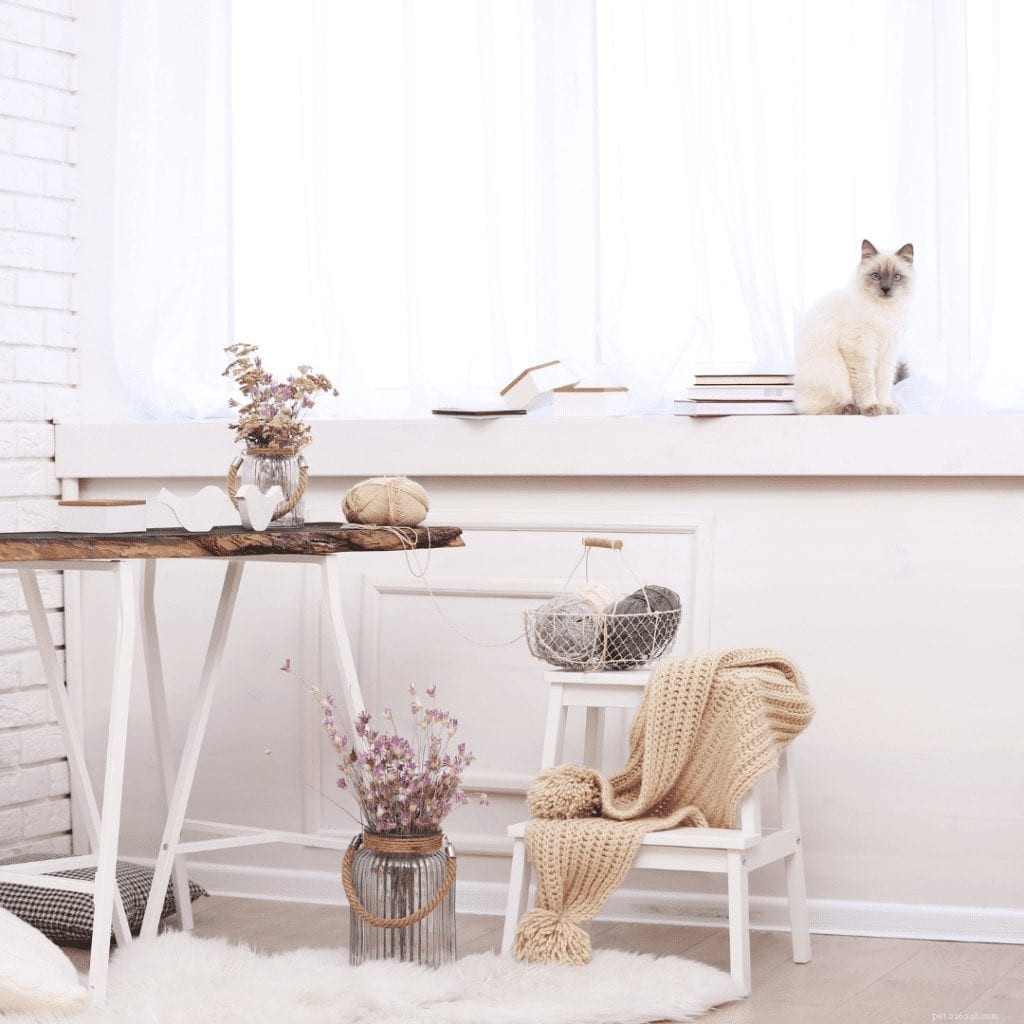 ペット用家具と動物愛好家の装飾を使用して屋外で屋内にフェード 