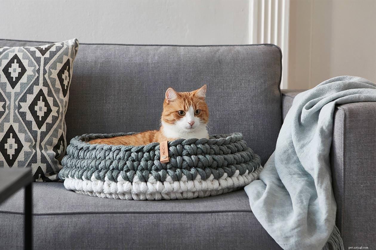 6 idee per lettiera per gatti che non devi nascondere