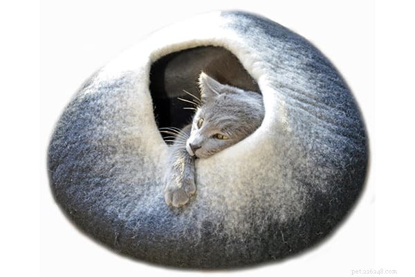 5 geweldige milieuvriendelijke kattenbedden
