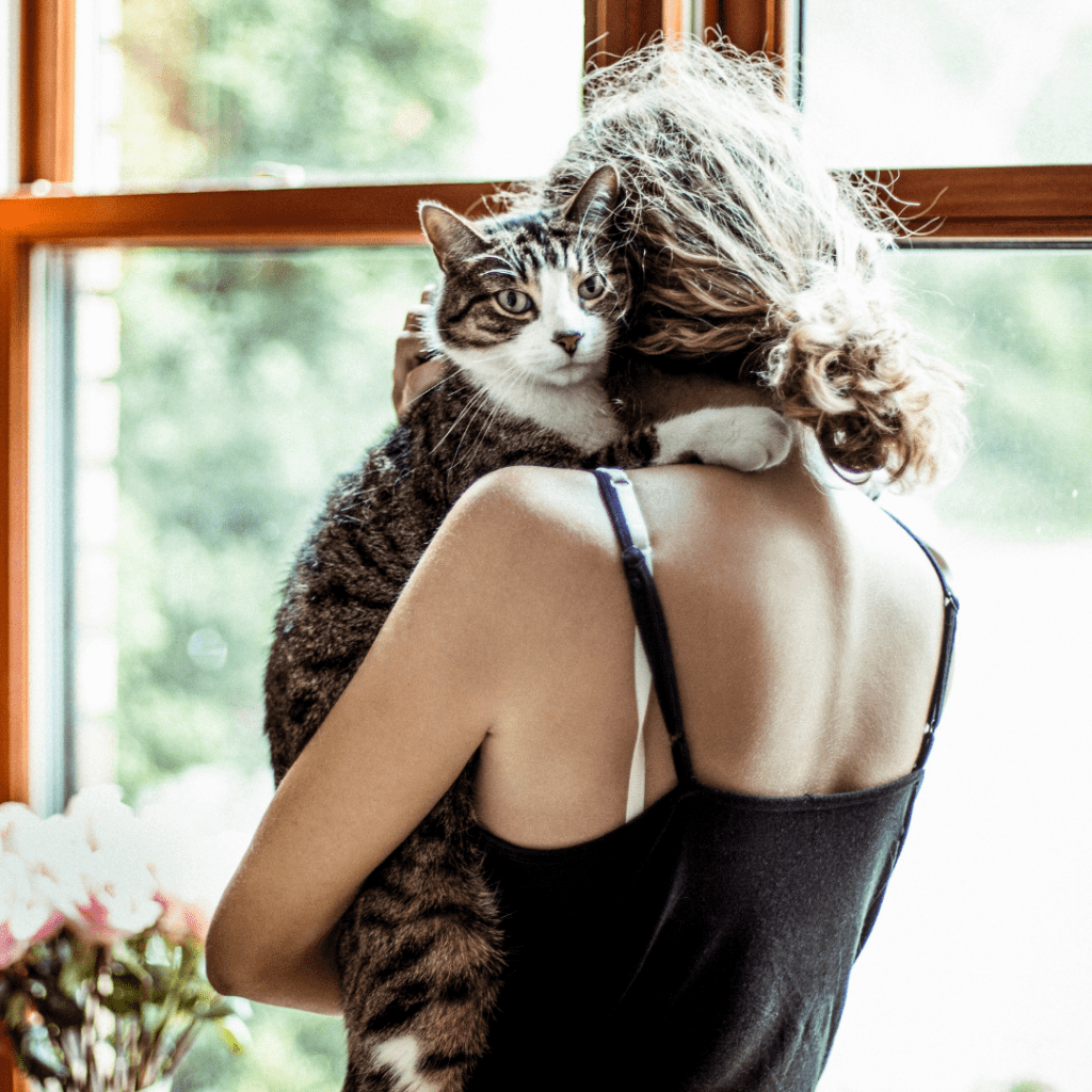 猫はどのように人間に愛情を示しますか？私の猫は私を愛していますか？ 