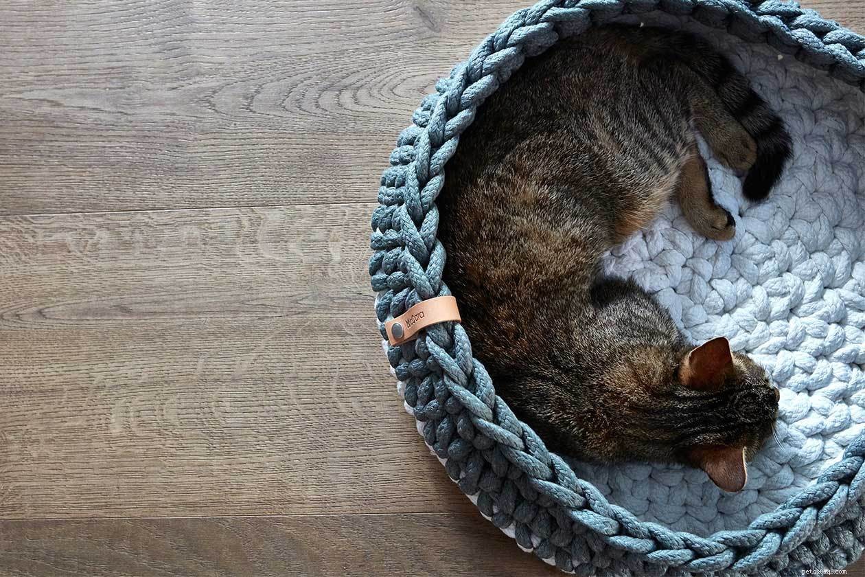 Soluções de móveis para gatos em apartamentos pequenos