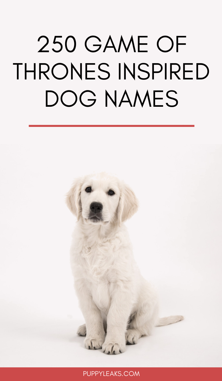 250ゲームオブスローンズに触発された犬の名前 