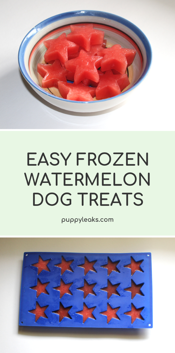 Supereenvoudige bevroren watermeloensnacks voor honden