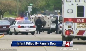 Hond doodt baby in Michigan