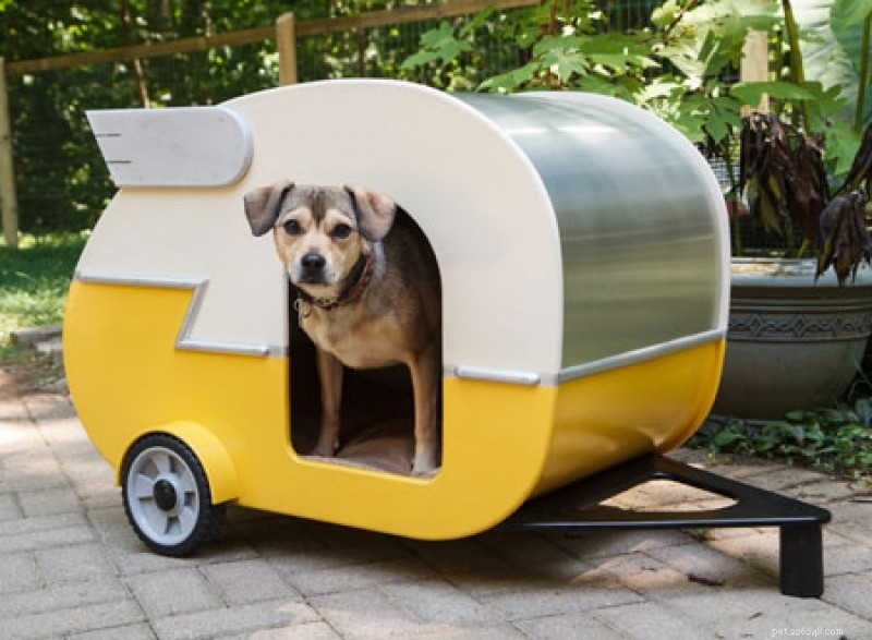 15 planos gratuitos de casinhas de cachorro