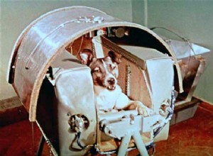 Как бездомная собака стала первым животным на орбите Земли
