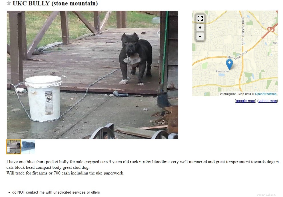 Craigslist Dog Ads :Attention à l acheteur