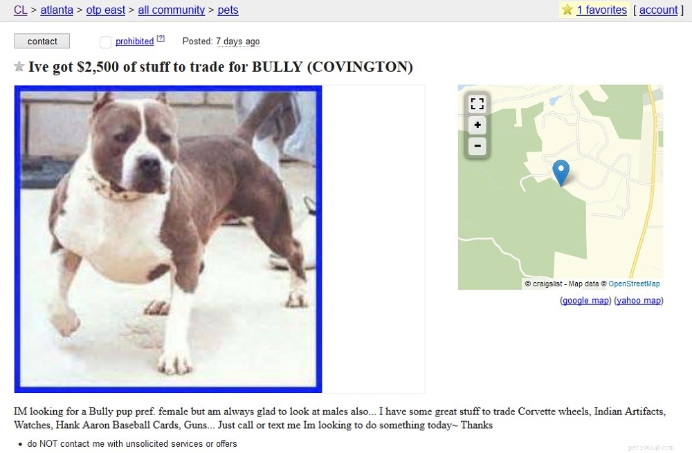Anúncios para cães da Craigslist:cuidado com o comprador