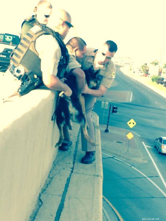 캔자스 경찰이 육교에서 개를 구했습니다