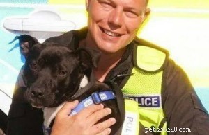 Policejní pes odložen poté, co byl označen za pitbulla